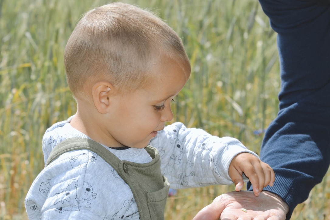 Niño descubriendo la naturaleza